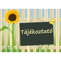 A közalkalmazott pedagógusok és a nevelő és oktató munkát közvetlenül segítő munkakörben foglalkoztatottak tájékoztatása a köznevelési foglalkoztatotti jogviszonyba kerülésről - Dokumentum minták