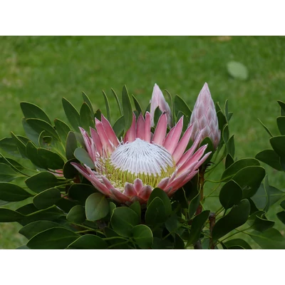 Fókuszban a változások – Országos Óvodapedagógiai Évindító Konferencia a Mód-Szer-Tár-ban